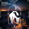 Mystic Wolf - Healing is a Journey